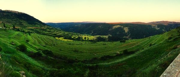 Scenic view of landscape