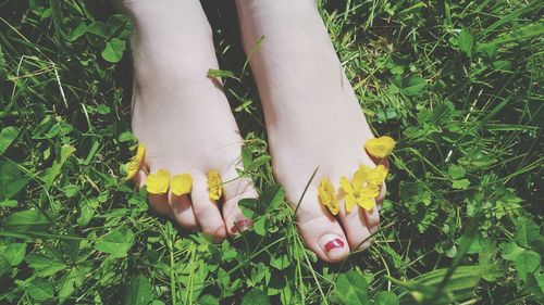 Flowers on human legs