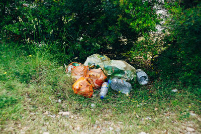 High angle view of food on ground