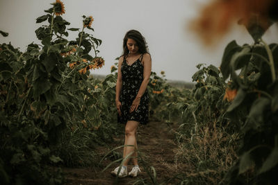 Young woman standing at sunflower farm