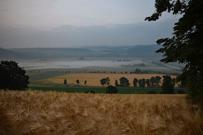 Scenic view of field against sky