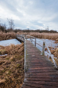 Wooden path leading through moorland in winter