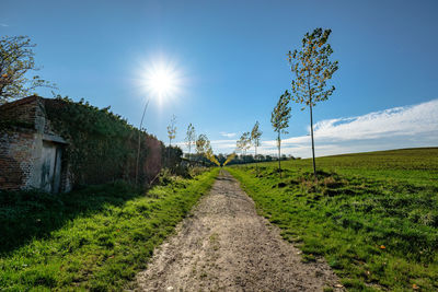 Road amidst plants and buildings against sky