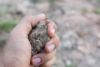 Close-up of human hand