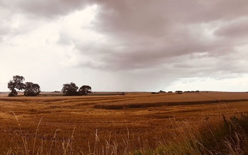 Scenic view of field against sky