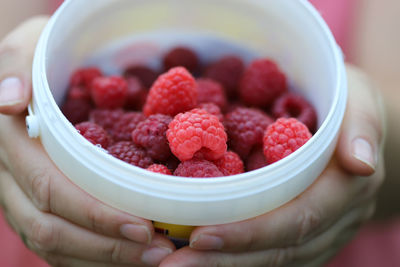 Cropped hand holding strawberries