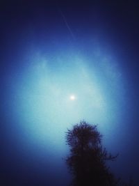 Low angle view of silhouette tree against sky at night