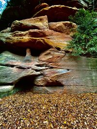 Sunlight falling on rocks during autumn