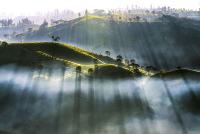 Scenic view of green landscape against sky