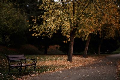 Empty bench in park during autumn