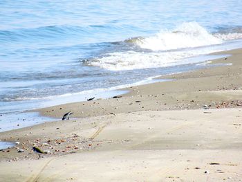 High angle view of beach
