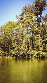 Scenic view of calm lake