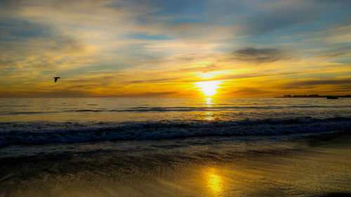 Scenic view of sunset over sea