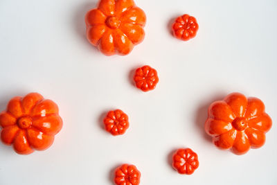 High angle view of orange fruits on white background
