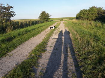 Road amidst agricultural field against clear sky