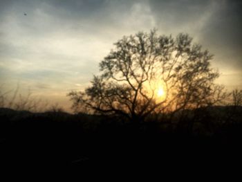 Silhouette trees on landscape against sky at sunset