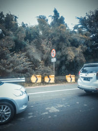 Cars on road against trees in city