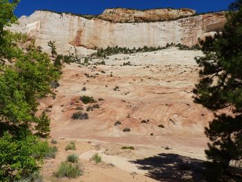 Rock formation with trees in background