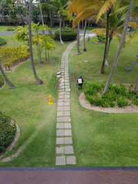 Footpath in park