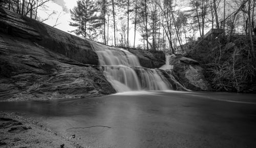 Scenic view of waterfall in forest