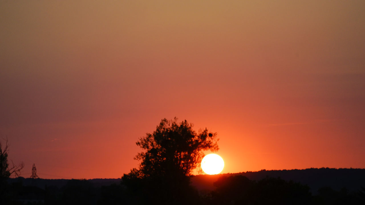 SILHOUETTE TREE AGAINST ORANGE SKY