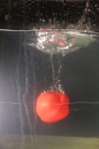 Close-up of red glass in water