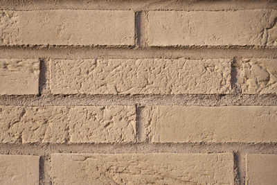 The wall is made of white bricks as a background.