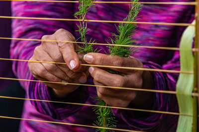 Close-up of hand holding purple leaf