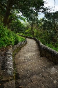 Walkway amidst trees against sky