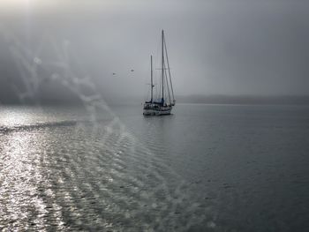 Sailboat sailing on sea against sky