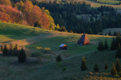 Scenic view of field during autumn