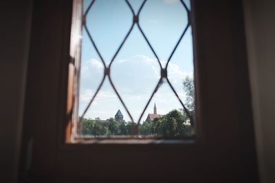 Close-up of trees seen through window