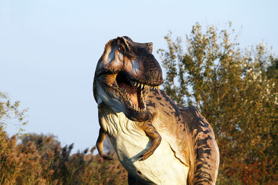 Close-up of horse against clear sky