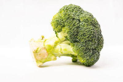 Close-up of leaf against white background