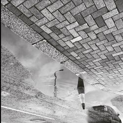 Reflection of trees in puddle