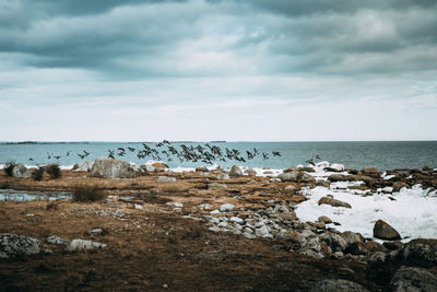 Birds flying over beach against cloudy sky