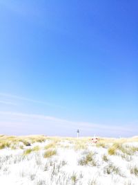 Scenic view of field against clear blue sky