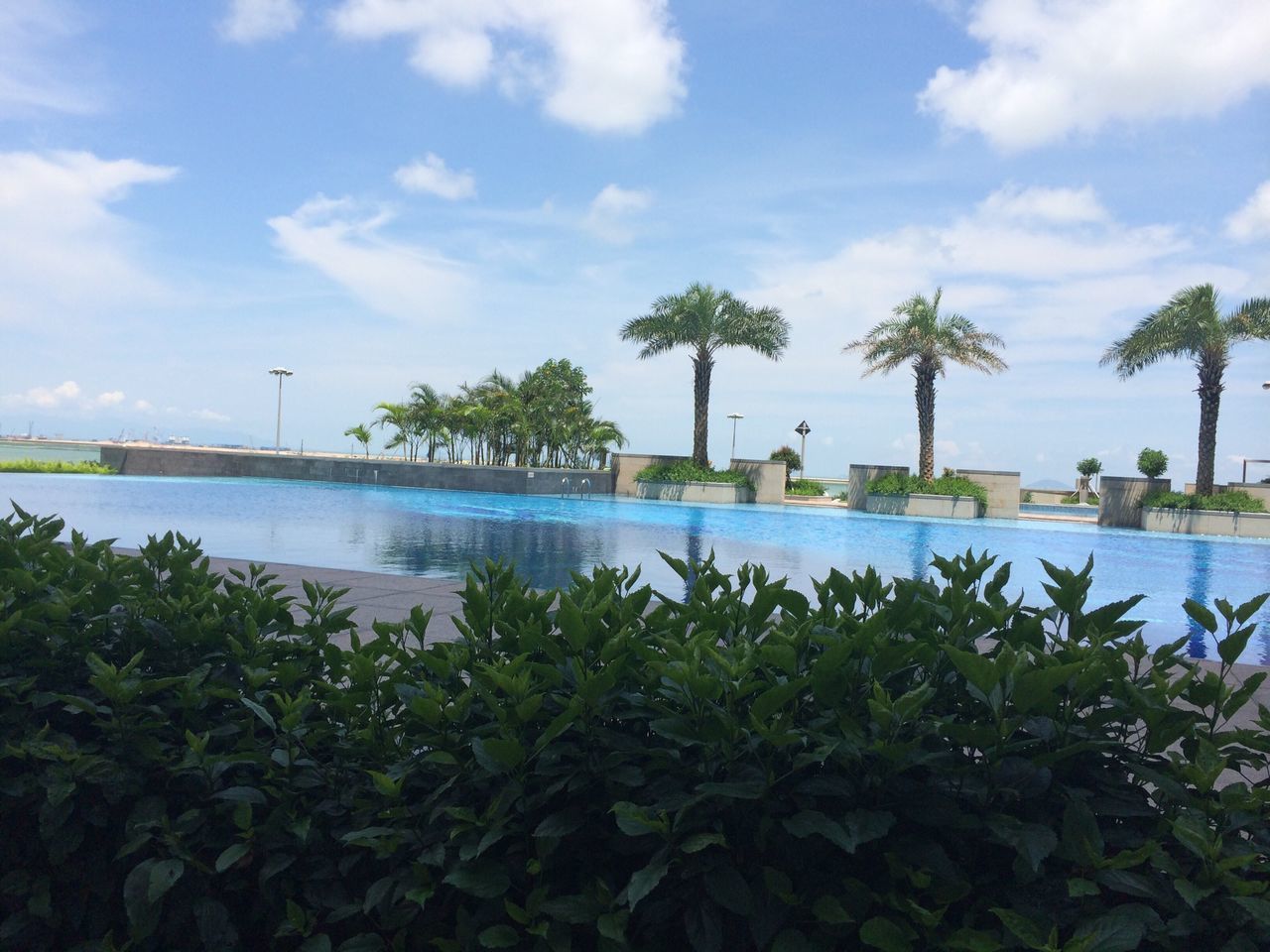 water, sky, tree, palm tree, growth, cloud - sky, tranquility, nature, plant, sea, beauty in nature, cloud, tranquil scene, scenics, lake, blue, cloudy, green color, river, day