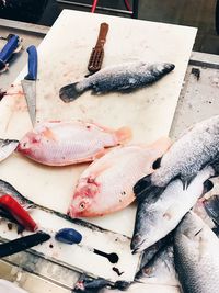 High angle view of fish for sale in market