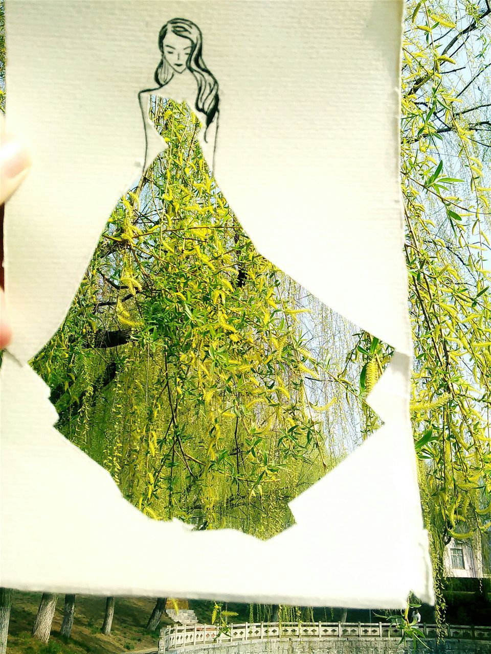 tree, growth, green color, plant, built structure, wall - building feature, architecture, day, nature, building exterior, sunlight, part of, green, lifestyles, outdoors, house, leaf, ivy