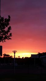 Silhouette of trees at sunset