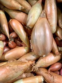 Full frame shot of onions for sale at market stall