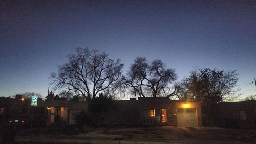 Silhouette trees against sky at night