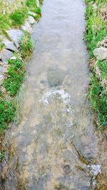 High angle view of water flowing through rocks