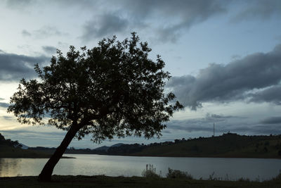 Silhouette tree by lake against sky