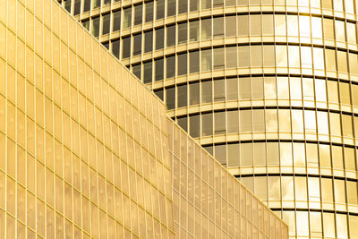 Full frame shot of modern glass building in city