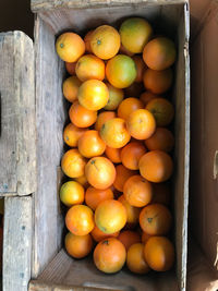 High angle view of oranges in crate