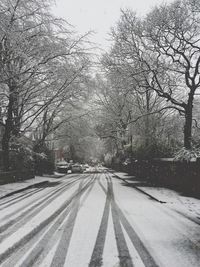 Snow covered road along bare trees