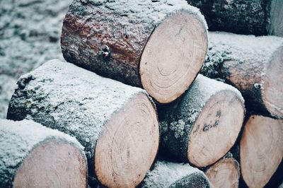 Stack of logs in forest