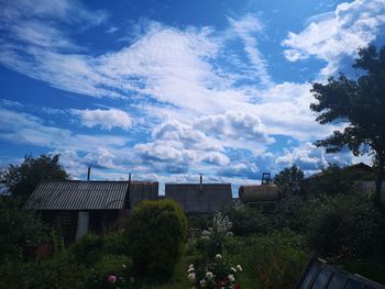 Trees and buildings against sky